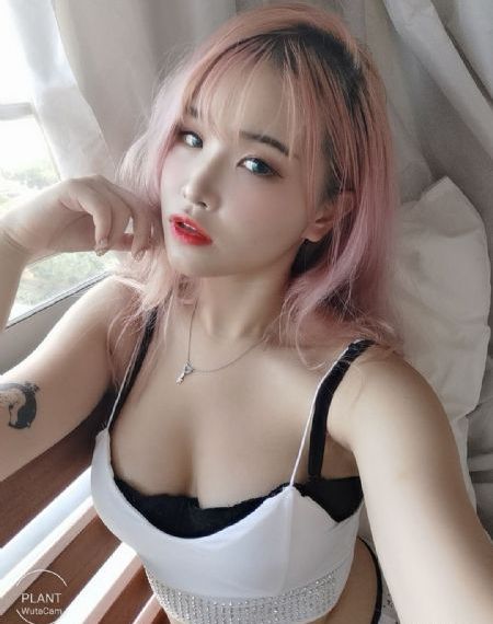 红楼春上春